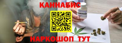 крисы Гатчина