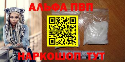 крисы Гатчина