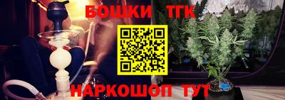 крисы Гатчина